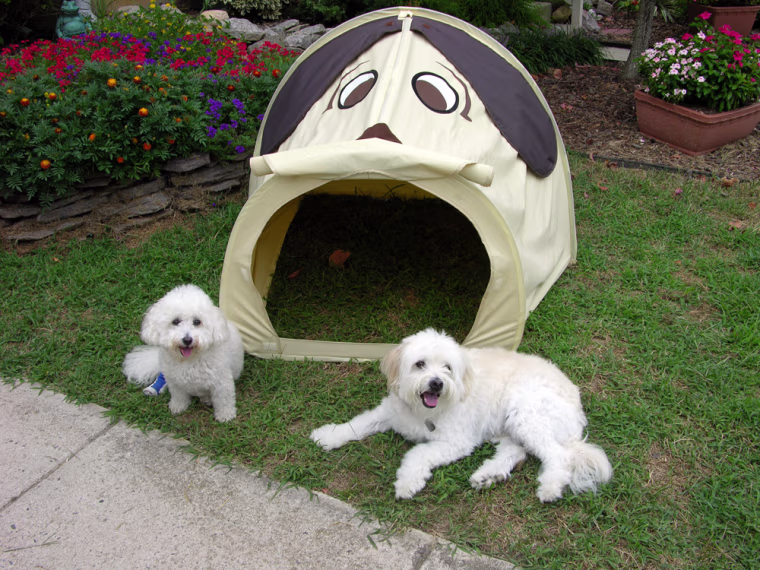 BENJI VENTURES POOP TENT
