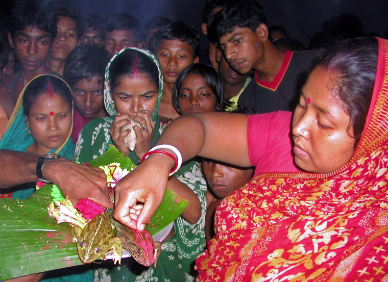 File photo of an Indian woman applying vermilion on a female toad at Khochakandar