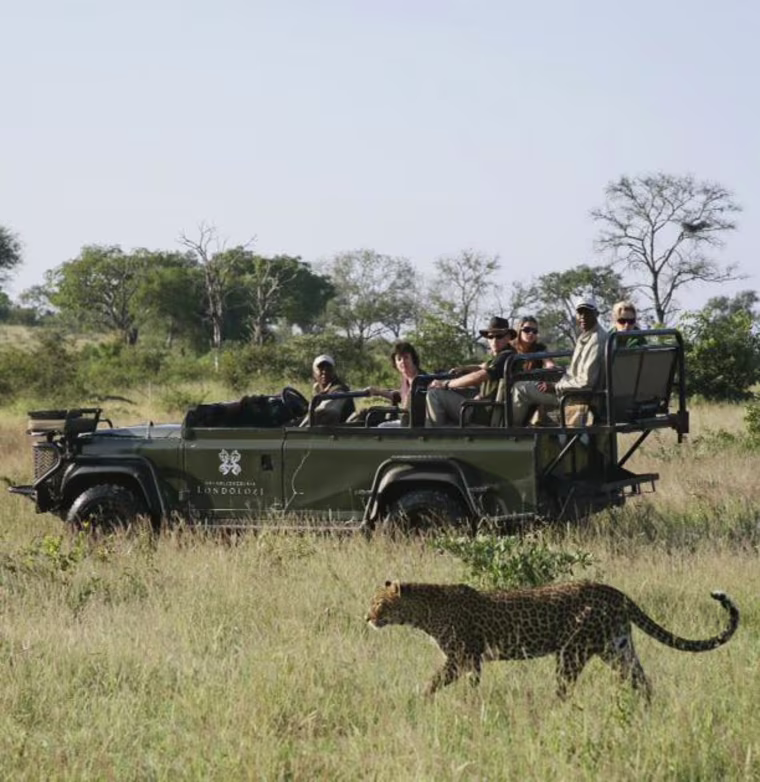 Image: Londolozi Game Reserve: Cathedral of the Wild