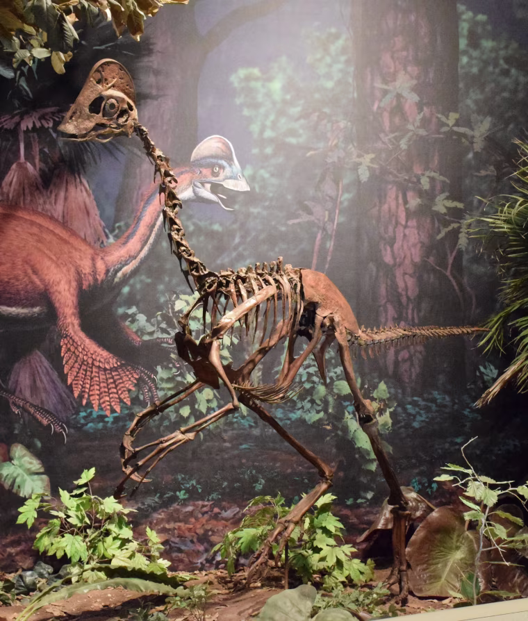 Image: Replica