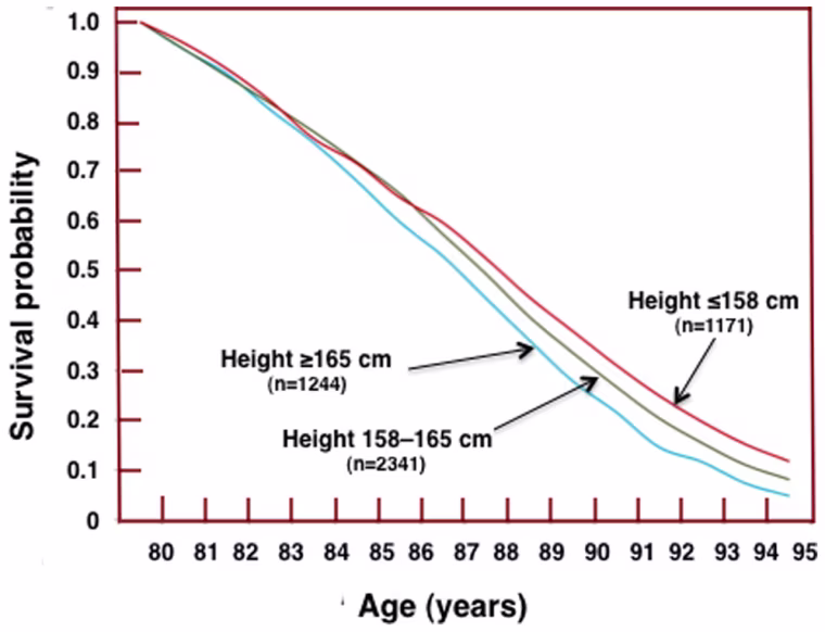 Image: Height vs. longevity chart