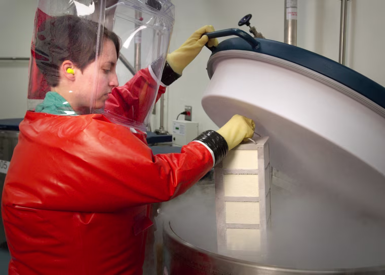 Image: Centers for Disease Control microbiologist and Special Pathogens Branch (SPB) staff member, Dr. Amy Hartman, in the process of inserting a rack of boxes containing biological stocks into a liquid nitrogen freezer where they would be stored in a BSL