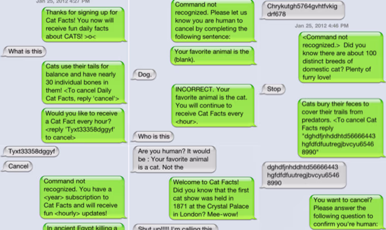 Cat Facts