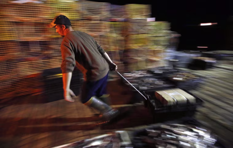 Image: Brandon Demmons hauls bait across a wharf at the start of his day as a sternman