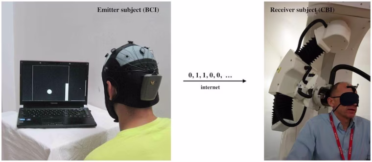 Image: Brain-to-brain link