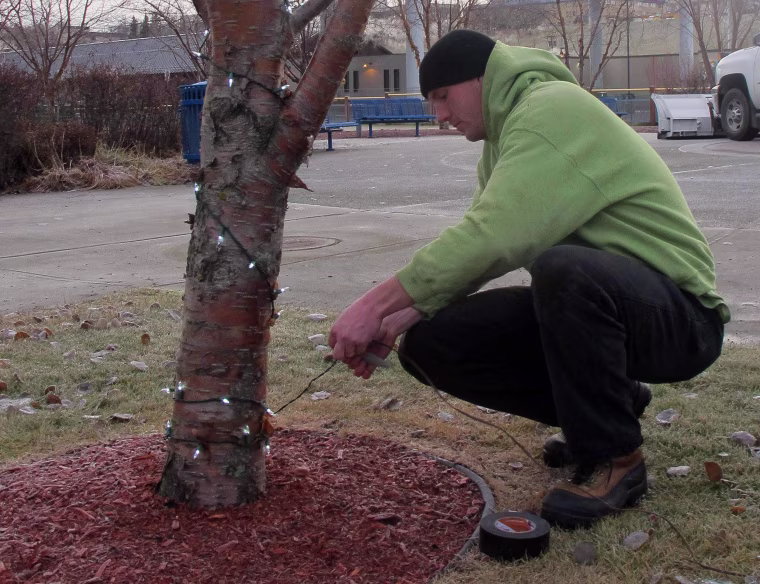 Image: Chantz Gaither hangs holiday lights in downtown Anchorage