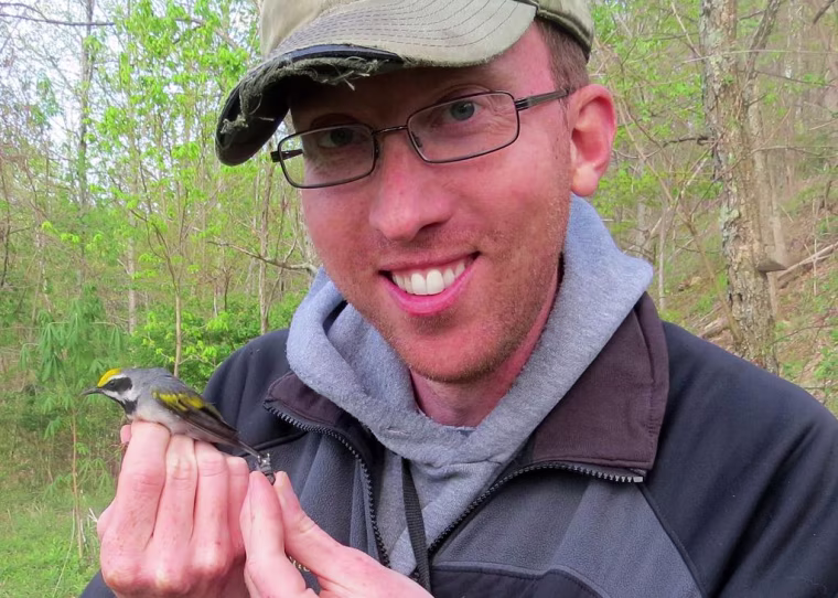 Image: Henry Streby with a male golden-winged warbler and the geolocator that the bird carried