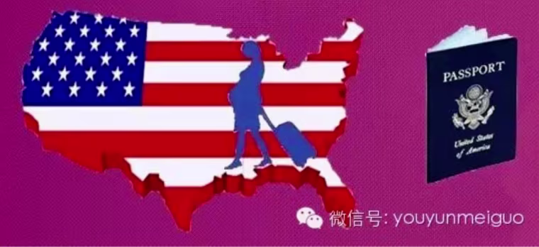 IMAGE: Website allegedly used to recruit Chinese women to come to the U.S. to have their babies