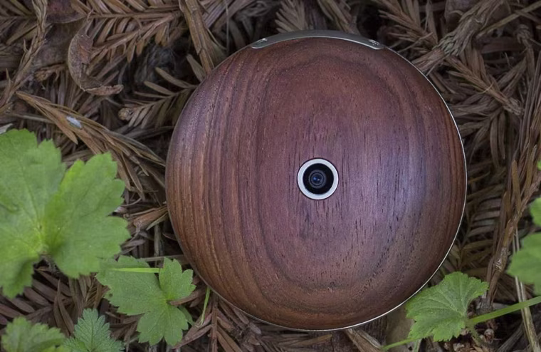 runcible