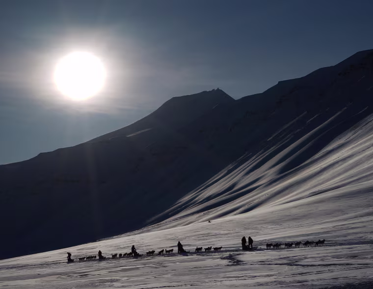 Eclipse-watching tourists ride dog sleds outside of Longyearbyen, Svalbard, on Thursday, a day ahead of the big event. The Svalbard Archipelago is one of the few spots of land that will see a total solar eclipse on Friday.