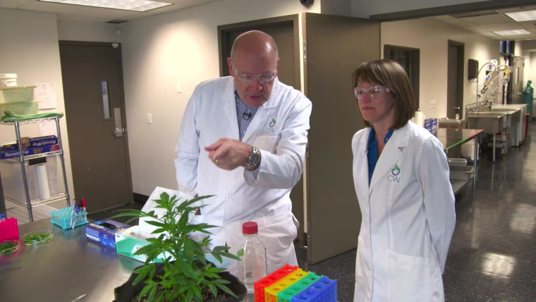 Harry Smith touring CW Botanicals laboratory in Colorado Springs, Colorado with Bear Reel, the lead botanist.