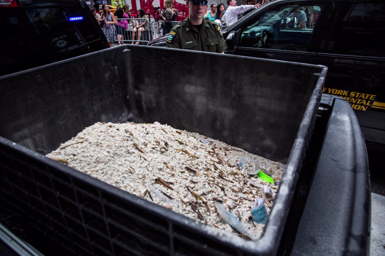Image: Ivory dust, created by destroyed ivory trinkets confiscated by law enforcement, sits in a bucket in Times Square