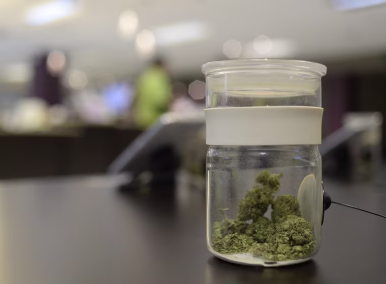 Colorado pot sales soar