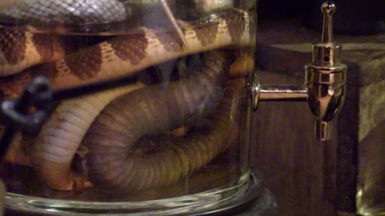 Image: Baijiu that comes with dead snakes suspended in the serving jar