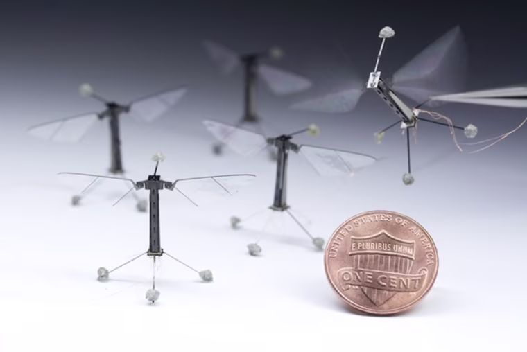 Robot Bees