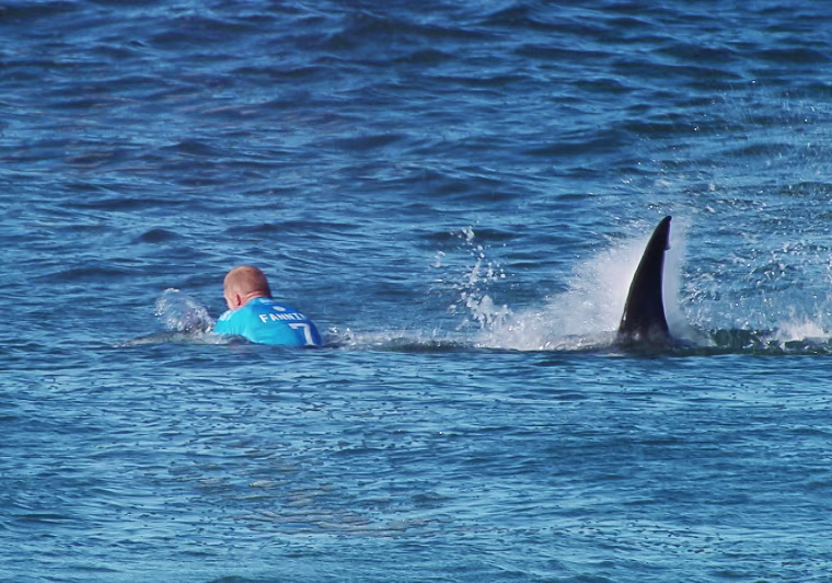 Image: Australian surfer Mick Fanning is attacked by a shark