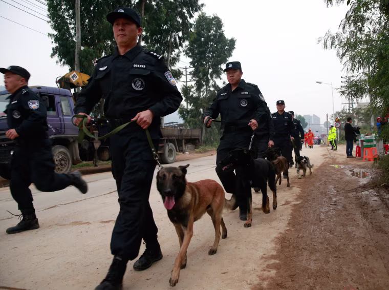 Image: Policemen with police dogs walk next to a site of a landslide which hit an industrial park in Shenzhen