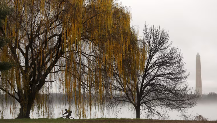 Image: A cyclist makes his way along the foggy Potomac in Washington