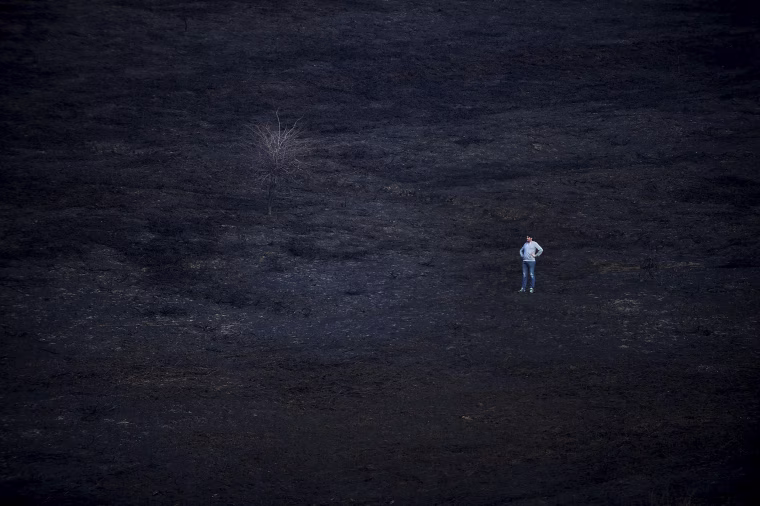 Image: A man stands in the middle of a burnt forest following a bushfire near the Basque town of Berango