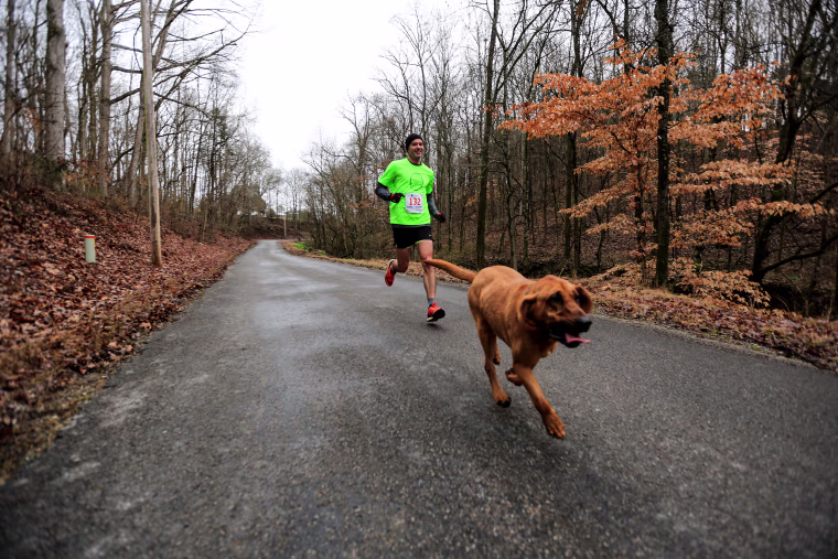 \"I think she probably averaged seven minutes per mile,\" said Henry, impressed by the hound's ability to finish the tricky 13.1-mile trek.

Ludivine's owner was also surprised by the pup's performance.

\"She’s laid back and friendly, so I can’t believe she ran the whole half marathon because she’s actually really lazy,\" Hamlin told Runner's World.