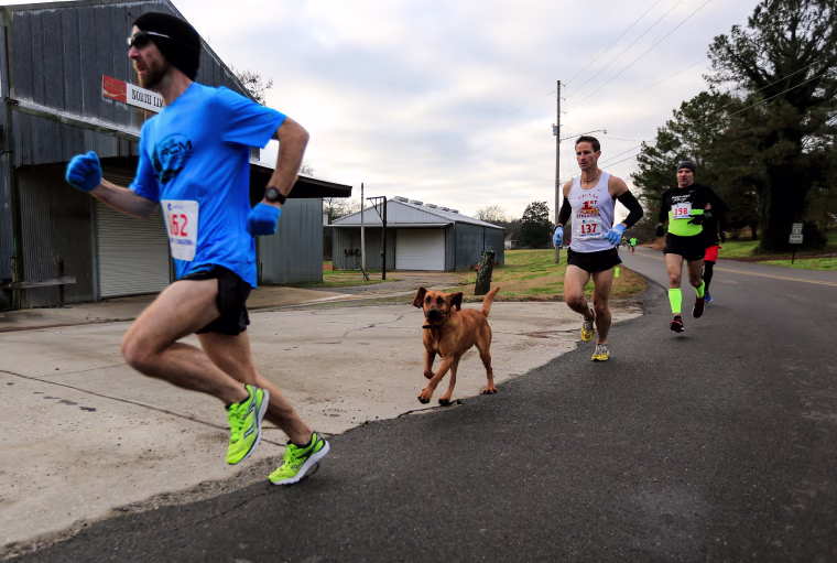 \"All I did was open the door, and she ran the race on her own accord,\" April Hamlin, told Runner's World.

Keith Henry, 38, who won the race, said he spotted Ludivine sniffing around while he was warming up. The hound followed him through town, to the starting line, and then ran neck and neck with Henry and another contender for several miles.