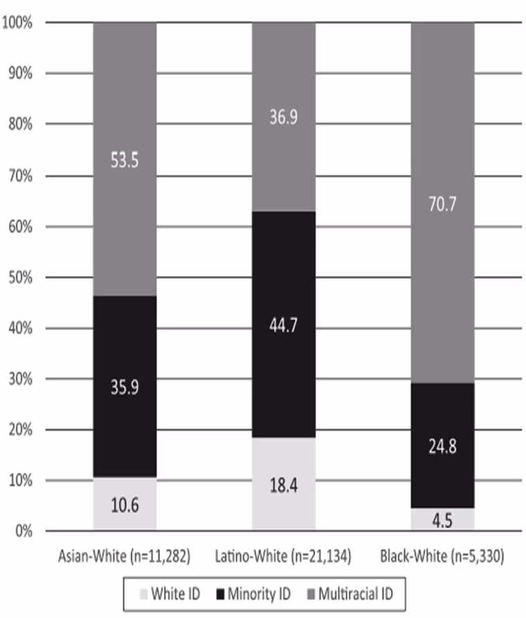 A graph showing surveyed respondents' self-identification by race.