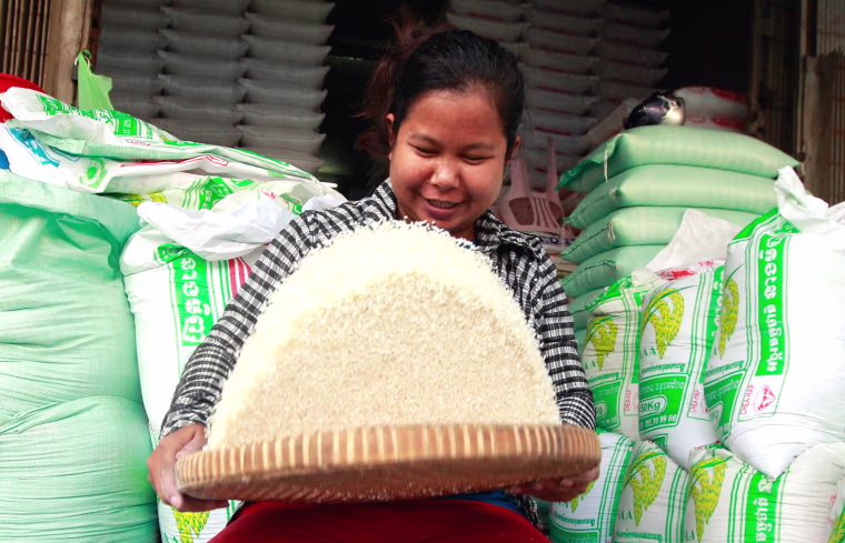 Image: Cambodia plans exporting one million tons of milled rice per year