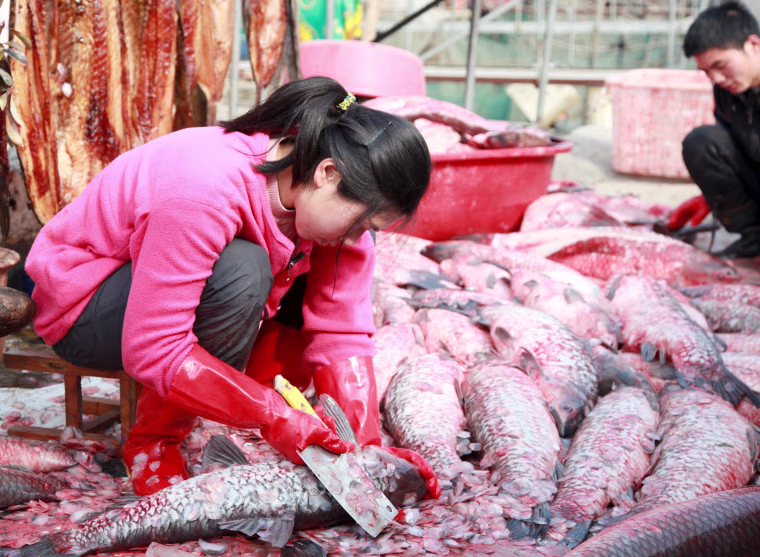 Image: A woman scales fish by the side of a lake