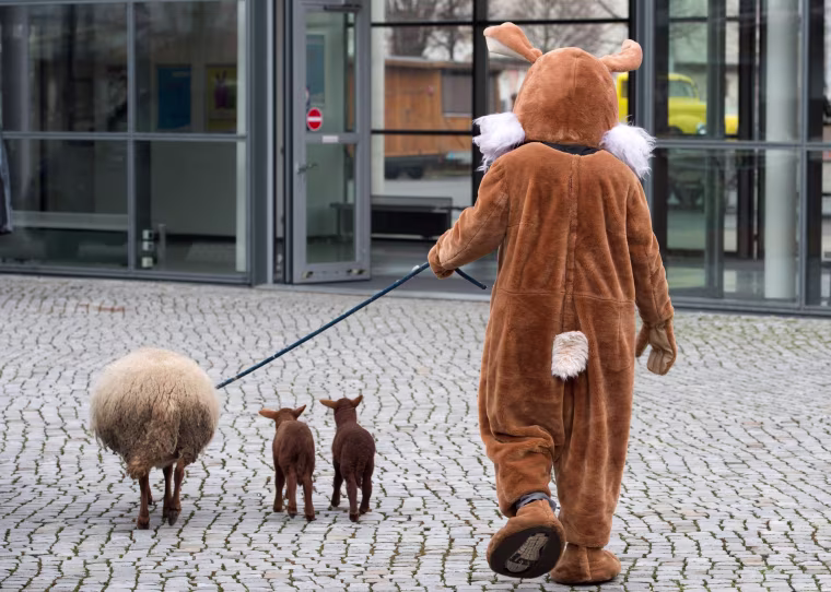 Image: Today in Pictures