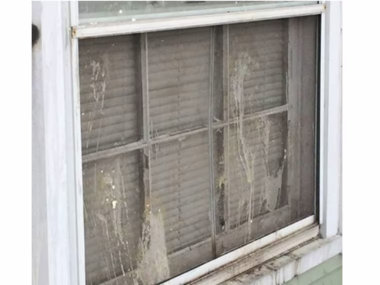 Image: Egged windows