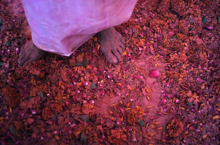 Image: A widow daubed in colours takes part in the Holi celebrations organised by non-governmental organisation Sulabh International at a ashram at Vrindavan, in the northern state of Uttar Pradesh