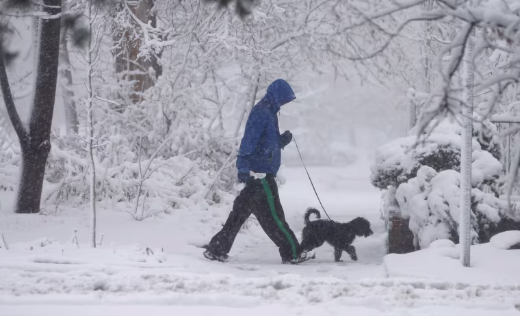 Image: Man and dog in snow