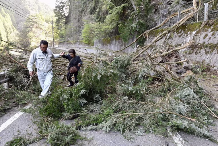 Image: Trees block a national highway in Hita