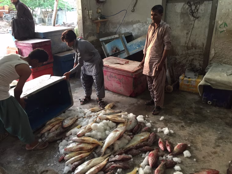 Image: Fishermen in Gwadar