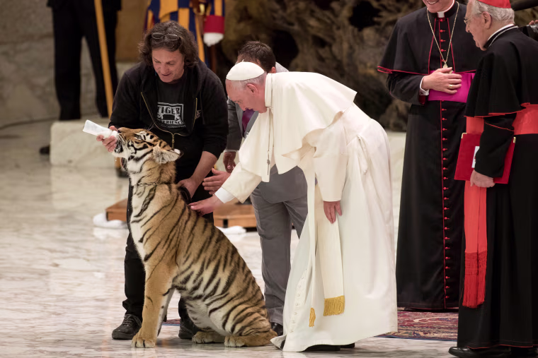 Image: World of Travelling Shows papal audience, Vatican, Rome, Italy - 16 Jun 2016