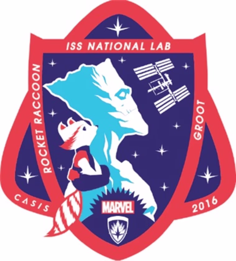 Rocket Raccoon and Groot patch