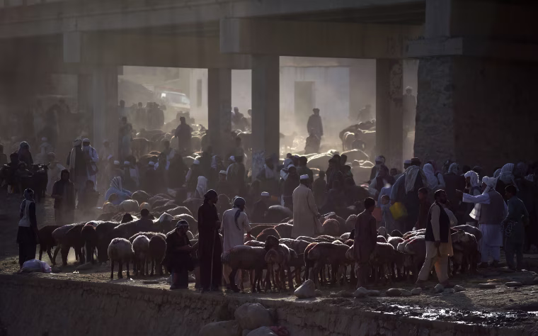Image: Muslims around the world celebrate the annual festival of Eid al-Adha