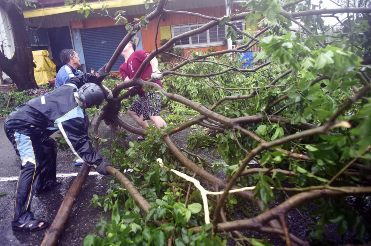 Image: Local residents help clear fallen trees from the streets