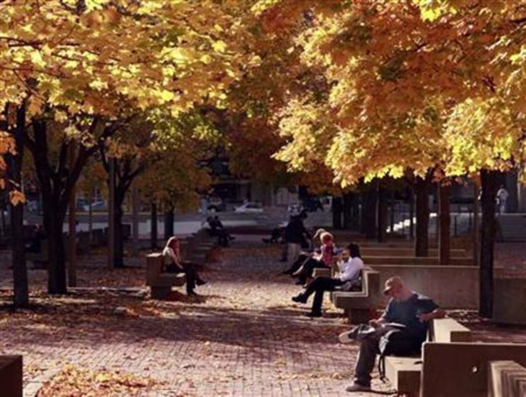 People sit under a canopy of fall leaves during a warm afternoon in Boston