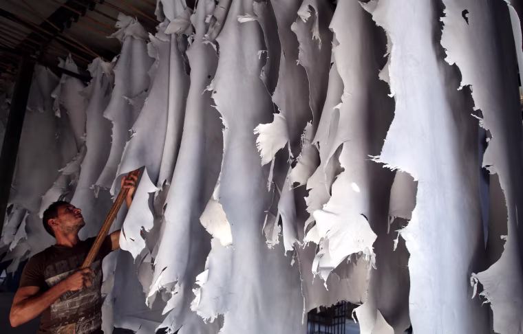 Image: Tannery in Cairo