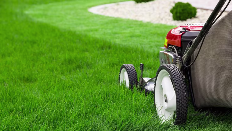 LAWN MOWER