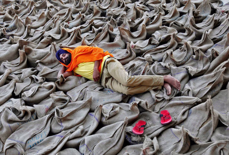 Image: A farmer rests upon sacks filled with paddy at a wholesale grain market in Chandigarh