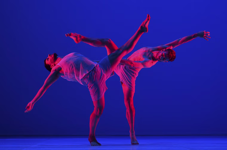 Image: Untamed's Anima - media call in Sydney
