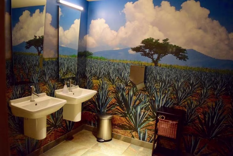 At Lena Brava restaurant in Chicago, the colorful agave-themed wallpaper makes bathroom patrons feel as if they’re in a field in Mexico instead of in Chicago’s West Loop.