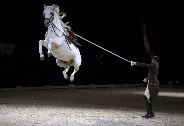 Image: Riders and their horses of the Spanish Riding School of Vienna perform a dress rehearsal for the media at the SSE Arena in London