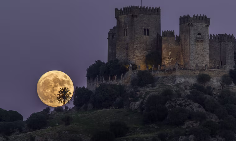 Image: