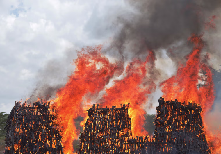 Image: A stockpile of illegal arms  goes up in smoke