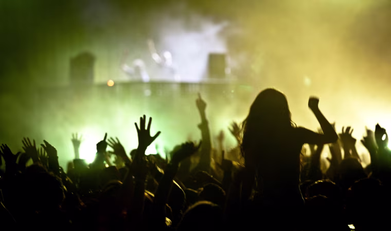 Image: Crowd dancing at a music festival