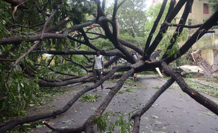 Image: TOPSHOT-INDIA-WEATHER-CYCLONE