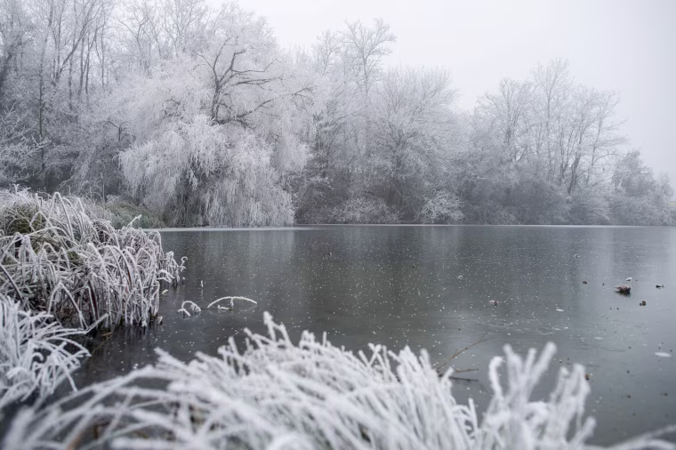 Image: Hoarfrost near Pecs, Hungary